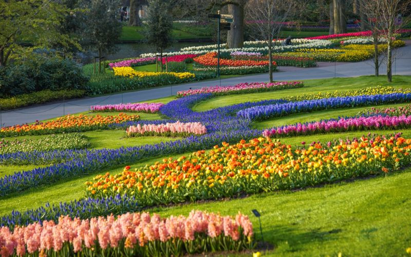 Công viên Keukenhof mùa hoa tulip