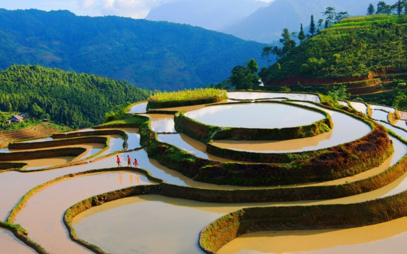 Tận hưởng không khí yên bình tại Hoàng Su Phì