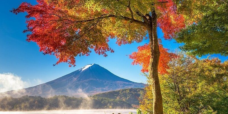 Nắng nhẹ, trời trong xanh rất lý tưởng cho du khách