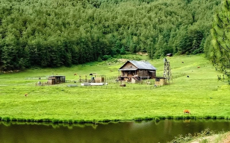 Cảnh đẹp tại Đại Lý xuất hiện trong phim Cảnh đẹp tại Đại Lý xuất hiện trong phim