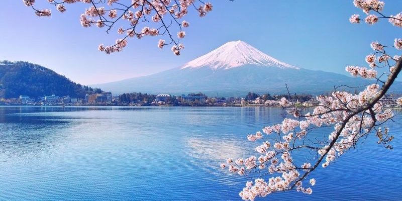 Ngắm cảnh mùa xuân thơ mộng tại hồ Kawaguchi