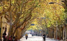 Thượng Hải tháng 12 có thời tiết lạnh ẩm