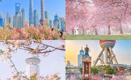 Toàn cảnh thời tiết Thượng Hải tháng 3