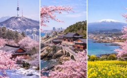 Thời tiết Hàn Quốc tháng 3 không quá lạnh, thuận lợi du lịch