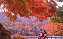 Mùa thu tại Arashiyama, thành phố Kyoto (Ảnh sưu tầm)