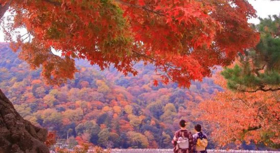 Mùa thu tại Arashiyama, thành phố Kyoto (Ảnh sưu tầm)