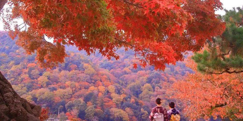 Mùa thu tại Arashiyama, thành phố Kyoto (Ảnh sưu tầm)