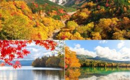 Mùa thu Hokkaido Nhật Bản (Ảnh sưu tầm)