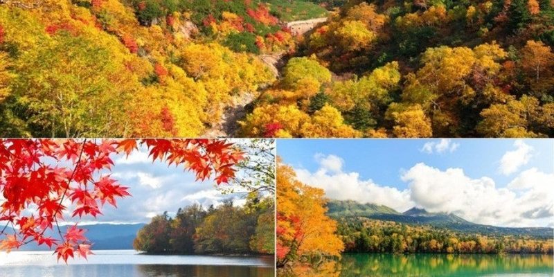 Mùa thu Hokkaido Nhật Bản (Ảnh sưu tầm)