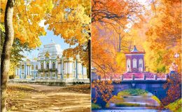Rừng cây chuyển sắc vàng, cam và đỏ đặc trưng mùa thu