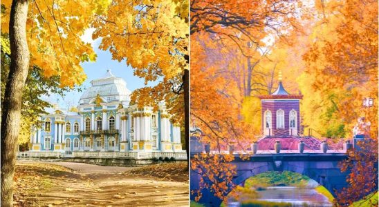 Rừng cây chuyển sắc vàng, cam và đỏ đặc trưng mùa thu