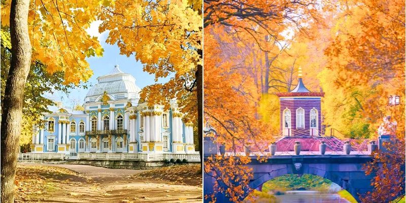 Rừng cây chuyển sắc vàng, cam và đỏ đặc trưng mùa thu